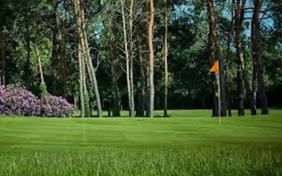 9 holes funwedstrijd op Golfbaan de Tongelreep